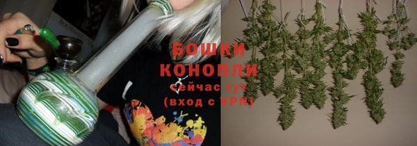 PSILOCYBIN Бронницы
