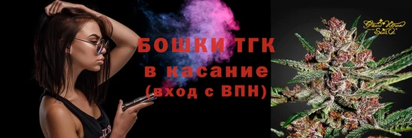 PSILOCYBIN Бронницы