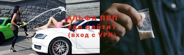 PSILOCYBIN Бронницы
