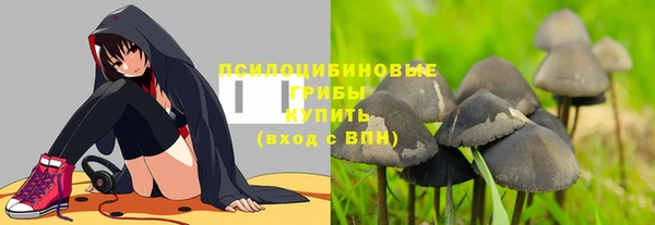 герыч Бородино