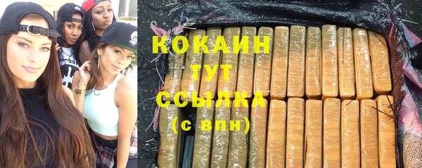 PSILOCYBIN Бронницы