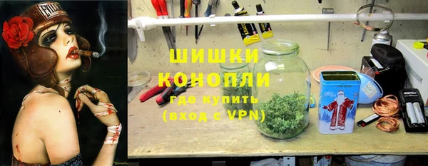 PSILOCYBIN Бронницы