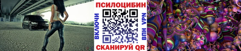 Псилоцибиновые грибы мицелий Купить где Орлов